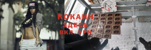бошки Верхний Тагил