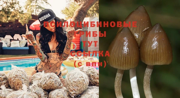 спайс Верея