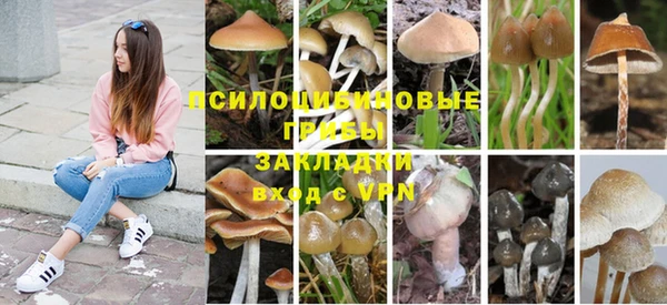 спайс Верея
