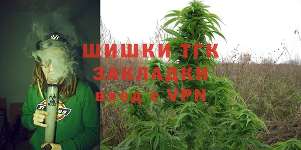 тгк Вяземский