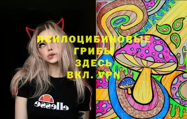 трава Верхнеуральск