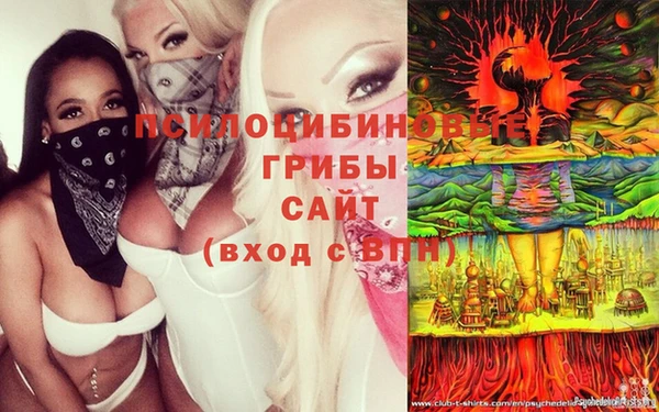 прущие грибы Володарск