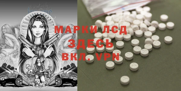прущие грибы Володарск