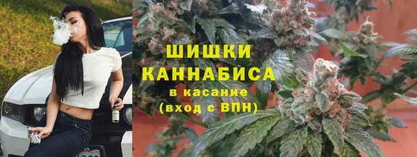 прущие грибы Володарск
