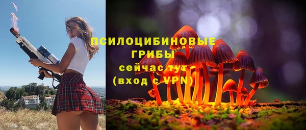 спайс Верея
