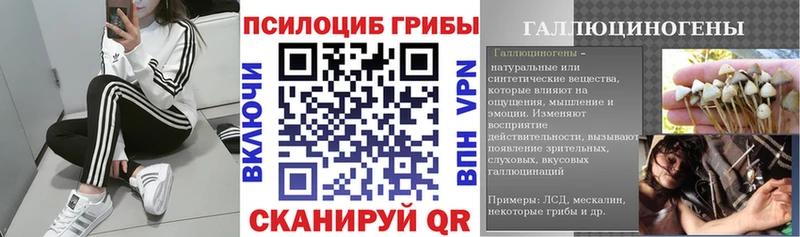 kraken как войти  Берёзовка  Галлюциногенные грибы Magic Shrooms 